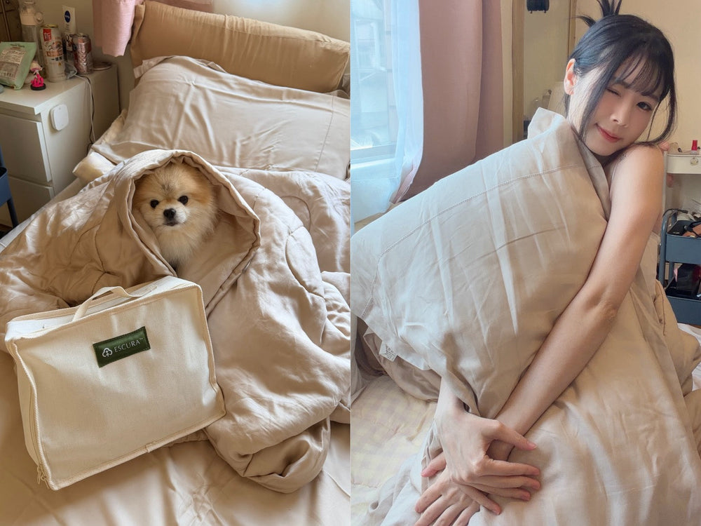 【寢具推薦】千萬熱銷返場！ESCURA 33°C 舒眠被窩開箱：首創「冷熱雙床包」，連我家狗狗樂樂都賴床的恆溫黑科技！✨