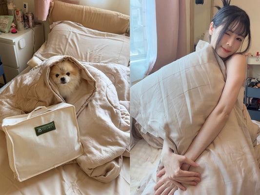 【寢具推薦】千萬熱銷返場！ESCURA 33°C 舒眠被窩開箱：首創「冷熱雙床包」，連我家狗狗樂樂都賴床的恆溫黑科技！✨